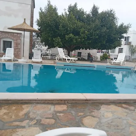 Lejlighed Dolphin Residences - Begonya 1 Bodrum